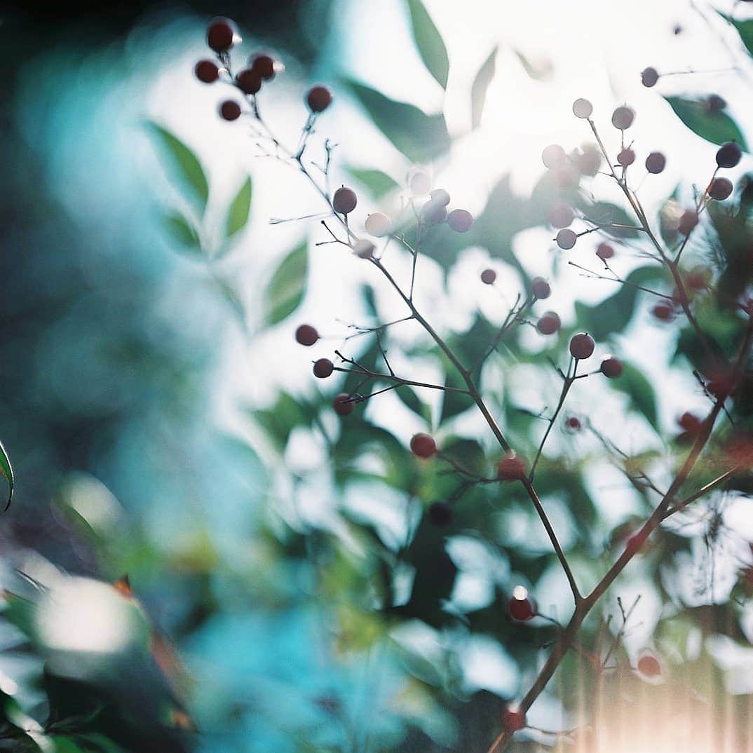 izumi_60のインスタグラム：「おはよう 🌿  このお休みはたくさんpentaconを連れだそう  2019│04│27│saturday」