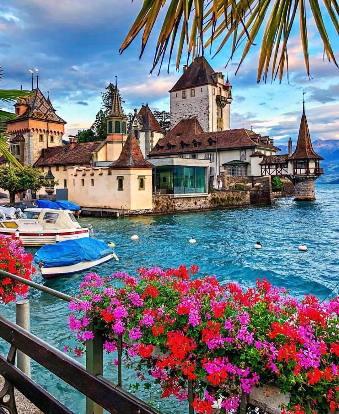 Wonderful Placesさんのインスタグラム写真 - (Wonderful PlacesInstagram)「Oberhofen - Switzerland ✨🌺🌺🌺✨ . Picture by ✨✨@takemyhearteverywhere✨✨ #wonderful_places for a feature 💖」4月27日 8時22分 - wonderful_places