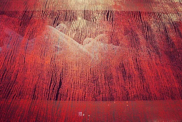 山本真由美さんのインスタグラム写真 - (山本真由美Instagram)「. ＡＮＴＥＲＯＯＭ  at  ＫＹＯＴＯ . museum みたいな ホテル 。 エントランスには名和晃平さんの、 しか と とら 。  時折見つける、 猫の足跡！🐈 . . 美術館と違うのは、 部屋まるごとそれぞれ アーティストが手がけていて そこに宿泊できたり 寝ても覚めてもアートがそこにあるという 生活を体験できること。潤い。 . #anteroom #anteroomkyoto  #hotel #kyoto #japan #stay  #hotel #art #photography  #color #blue #picture #建築  #アンテルーム #ホテル #京都 #portrait  #architecture #model #名和晃平 #宿  #likeforlikes #restaurant #美術館  #museum #建築と女優 #photography  #camera #写真好きな人と繋がりたい」4月27日 8時25分 - mayumi_yamamoto.official