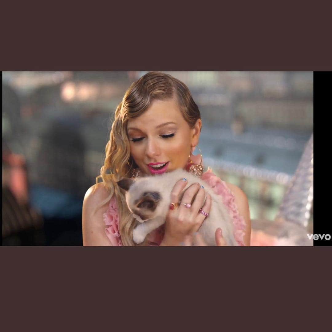 ジェシカ・サインフェルドさんのインスタグラム写真 - (ジェシカ・サインフェルドInstagram)「Do you identify as a cat person? Then I am sure you have already watched “Me!” By classy lady Taylor Swift. Friday night cat content here or I will post link in my stories.  https://youtu.be/FuXNumBwDOM」4月27日 8時49分 - jessseinfeld