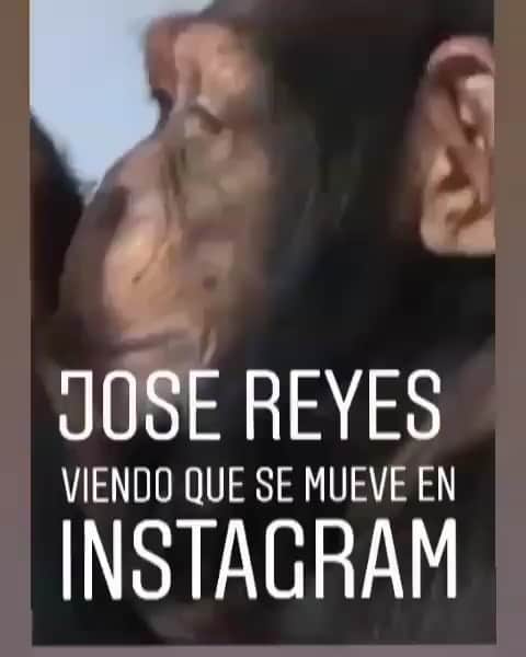 ホセ・レイエスのインスタグラム：「No se pasen 😡」