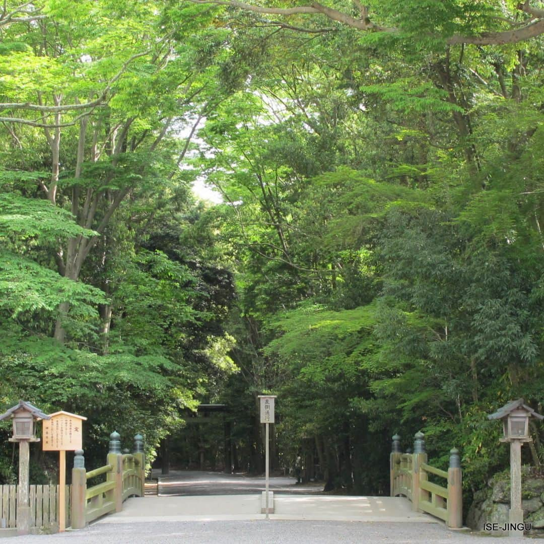 伊勢神宮さんのインスタグラム写真 - (伊勢神宮Instagram)「#伊勢神宮 #神宮 #神社 #心のふるさと #外宮 #参道 #北御門 #火除橋 #新緑 #ISEJINGU #JINGU #SOUL_of_JAPAN #Japan #Jinja #Shinto #Geku #Fresh_Green」4月27日 11時00分 - isejingu.official