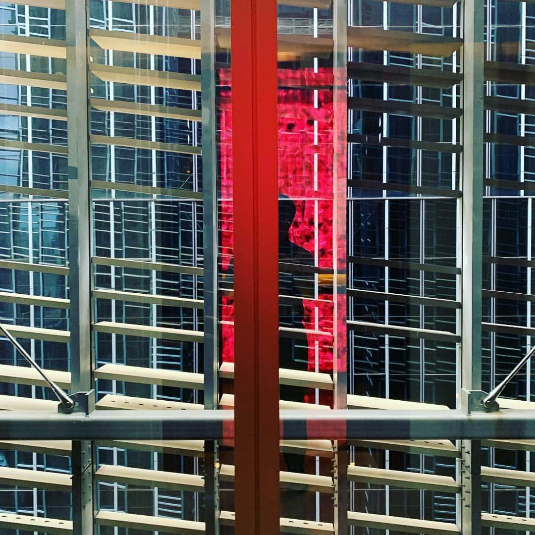 林信行のインスタグラム：「Hong Kong hotel.」