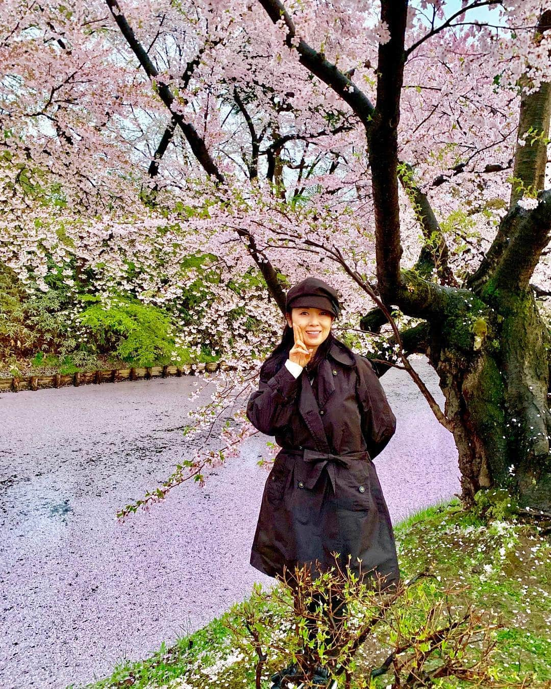 藤あや子さんのインスタグラム写真 - (藤あや子Instagram)「弘前城の桜…観たかったんだぁ❣️ 桜のじゅうたんに感動…🌸 「花筏(はないかだ)」って言うそうです❗️ お堀に散りゆく桜の花びらは 最後の瞬間まで美しいのね😍 #青森県 #弘前城 #花筏」4月27日 11時38分 - ayako_fuji_official