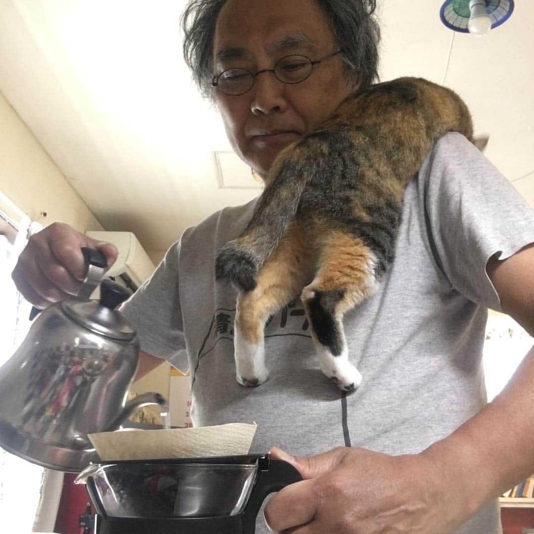 Kachimo Yoshimatsuさんのインスタグラム写真 - (Kachimo YoshimatsuInstagram)「朝のコーヒータイム。肩重い。 #uchinonekora #castella #neko #cat #catstagram #kachimo #猫 #ねこ #うちの猫ら http://kachimo.exblog.jp」4月27日 11時46分 - kachimo