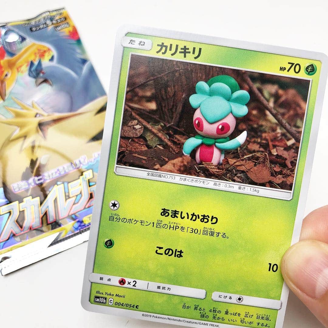 森井ユカさんのインスタグラム写真 森井ユカinstagram ポケモンカード用 たねポケモン の カリキリ を焼いて固める樹脂粘土で作りました 背景はリアル落ち葉です 強化拡張パック スカイレジェンド に入っている カモよ The New Pokemon Card Has Gone Out