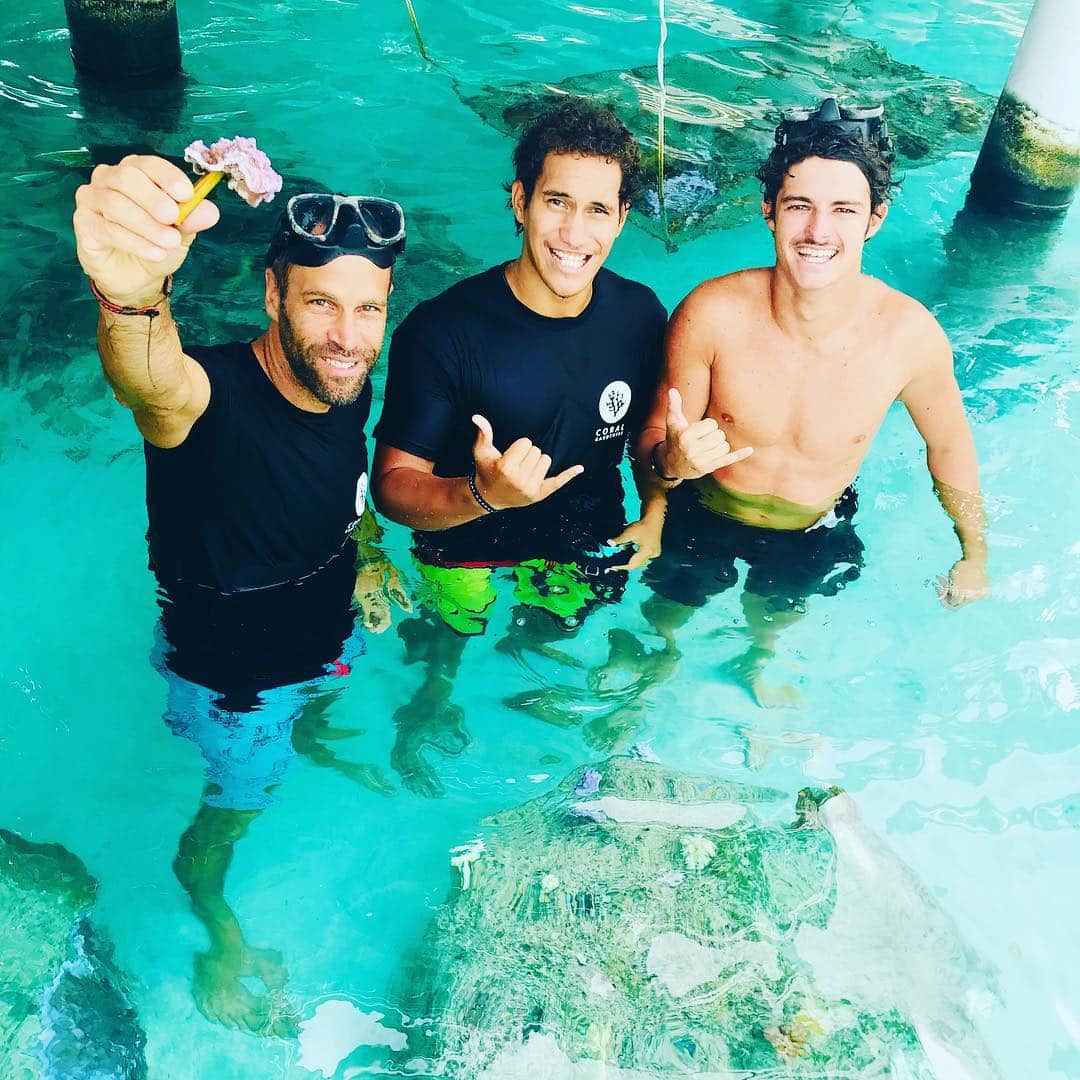 ジャック・ジョンソンさんのインスタグラム写真 - (ジャック・ジョンソンInstagram)「Māuruuru to our friends on Mo’orea for sharing their amazing work restoring the reefs and rehabilitating the sea turtles. Check out @coralgardeners @temanaotemoana and our other amazing @allatonce_org non-profit partners at the show in Tahiti tonight!」4月27日 13時20分 - jackjohnson