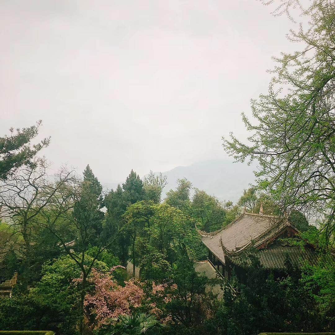 スイ・ヒーのインスタグラム：「#qingchengmountain  #lovegreen」