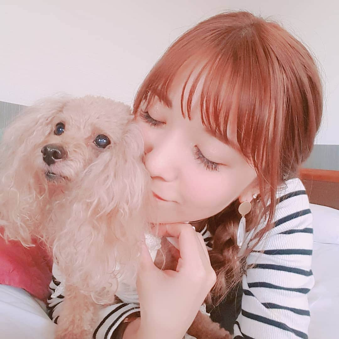 長江愛美さんのインスタグラム写真 - (長江愛美Instagram)「すぐチューしてくるハニーさん🐶💋 ミニー&ハニーにとっても癒されています🐶🐶 #愛犬#溺愛#ミニー#ハニー#ティーカッププードル #teacuppoodle #プードル#旅行#癒し#gw#満喫#まったり#ラブラブ#❤」4月28日 0時17分 - manamin.512