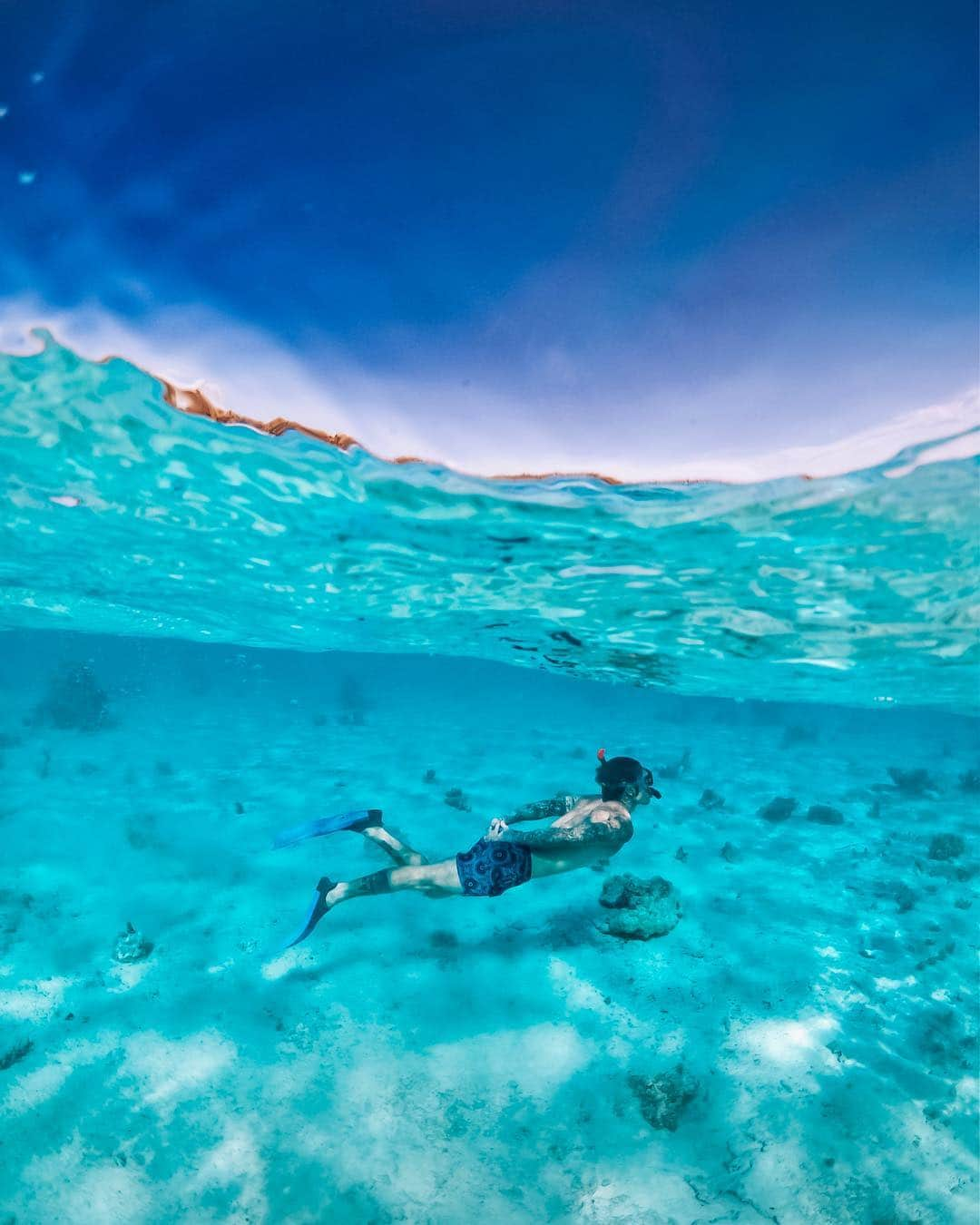 フェデスさんのインスタグラム写真 - (フェデスInstagram)「In fondo al mar 🐠」4月28日 0時20分 - fedez