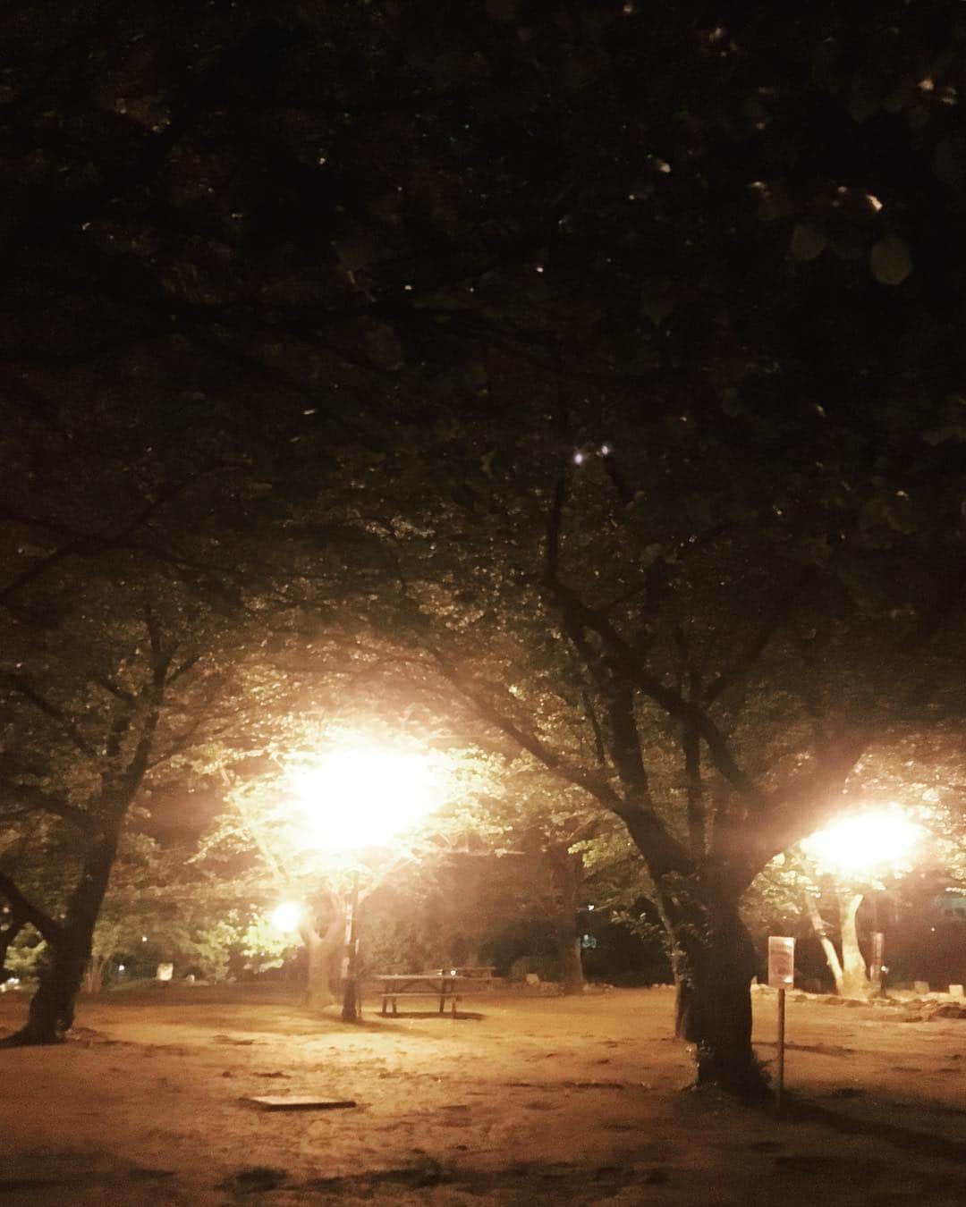 猫沢エミさんのインスタグラム写真 - (猫沢エミInstagram)「桜が散って、誰もいなくなった浜町公園。でも私は知ってるよ。あなたのふだんの美しさを。  人が見るものを良いと言うのは容易い。 けれど、人が見ていないときほど、本当の美しさは真価を魅せる。  ありがとう。たくさんの光の粒が、そう答えた。  #東京下町時間」4月28日 0時40分 - necozawaemi