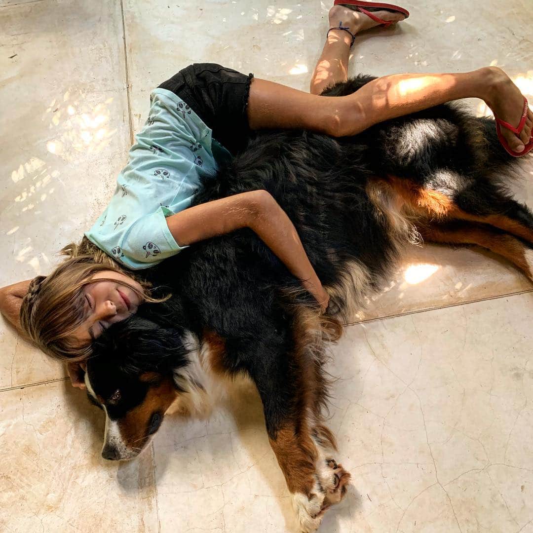 Giovanna Antonelliのインスタグラム：「😊Bom dia cheio de amor!!!! 🐕 🐶 🐕 🐶」