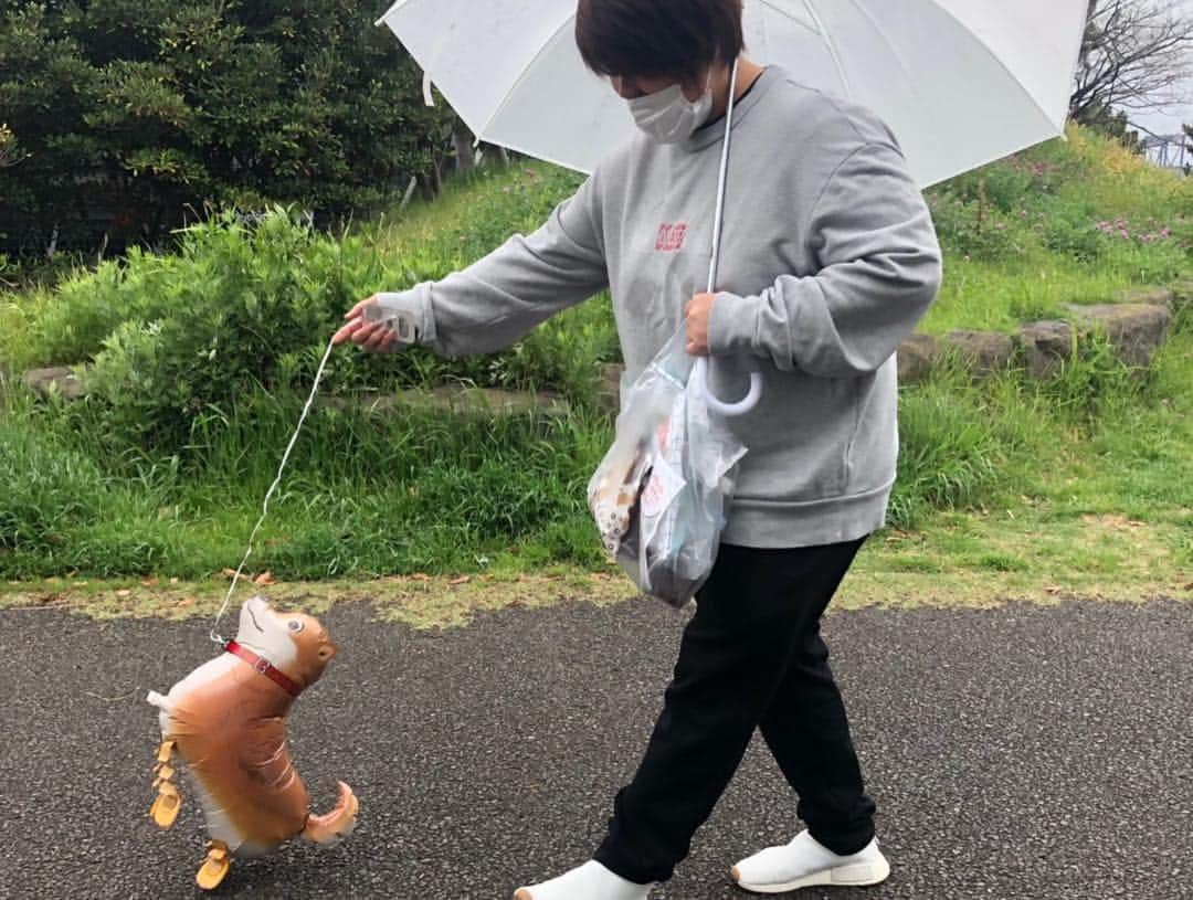 杉本美香さんのインスタグラム写真 - (杉本美香Instagram)「・ ドッグラン集合🐕 ・ 大山加奈ちゃんとダイズ君♡ ホッシーさんと小豆ときな粉♡ サブちゃんママとサブちゃん♡ 杉本とダンディー君♡ ・ みんな犬飼っててドッグラン集合っていうからさぁー！ ・ 関西人考えたよね🤔 よし！ 私も犬を連れて行こう🐕 ・ 結果、ほとんどの時間宙に浮いてる犬を凧のように散歩してドッグランで遊んできました🐕笑 ・ 片手に風船🎈 片手にドーナツ🍩 ヤバイね😅 ・ みんな笑ってくれたから大成功🤩👍 人が笑ってくれてる顔が好き🥰 その為には時間とお金は惜しまない😝 ・ ってことで、楽しい時間でした♡ ありがとう🤩💫 ・ #ドッグラン #犬大集合 #今日に限って寒い #一匹だけちょっと違う #笑笑 #関西人普通には集合しない #楽しかったありがとう #金曜日の夜は胃痛で久々ヤバかった #ドッグランもいいけどそろそろ #人間ドックに行かないとね #現実は厳しい #いろいろ断捨離 #来るもの拒まず去る者追わず  #笑顔 #smile😊」4月28日 0時59分 - mika__sugimoto