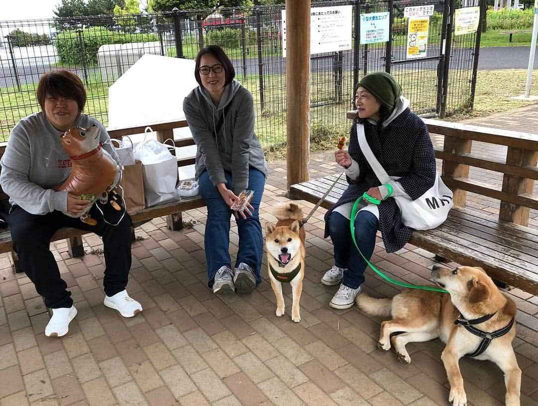 杉本美香さんのインスタグラム写真 - (杉本美香Instagram)「・ ドッグラン集合🐕 ・ 大山加奈ちゃんとダイズ君♡ ホッシーさんと小豆ときな粉♡ サブちゃんママとサブちゃん♡ 杉本とダンディー君♡ ・ みんな犬飼っててドッグラン集合っていうからさぁー！ ・ 関西人考えたよね🤔 よし！ 私も犬を連れて行こう🐕 ・ 結果、ほとんどの時間宙に浮いてる犬を凧のように散歩してドッグランで遊んできました🐕笑 ・ 片手に風船🎈 片手にドーナツ🍩 ヤバイね😅 ・ みんな笑ってくれたから大成功🤩👍 人が笑ってくれてる顔が好き🥰 その為には時間とお金は惜しまない😝 ・ ってことで、楽しい時間でした♡ ありがとう🤩💫 ・ #ドッグラン #犬大集合 #今日に限って寒い #一匹だけちょっと違う #笑笑 #関西人普通には集合しない #楽しかったありがとう #金曜日の夜は胃痛で久々ヤバかった #ドッグランもいいけどそろそろ #人間ドックに行かないとね #現実は厳しい #いろいろ断捨離 #来るもの拒まず去る者追わず  #笑顔 #smile😊」4月28日 0時59分 - mika__sugimoto