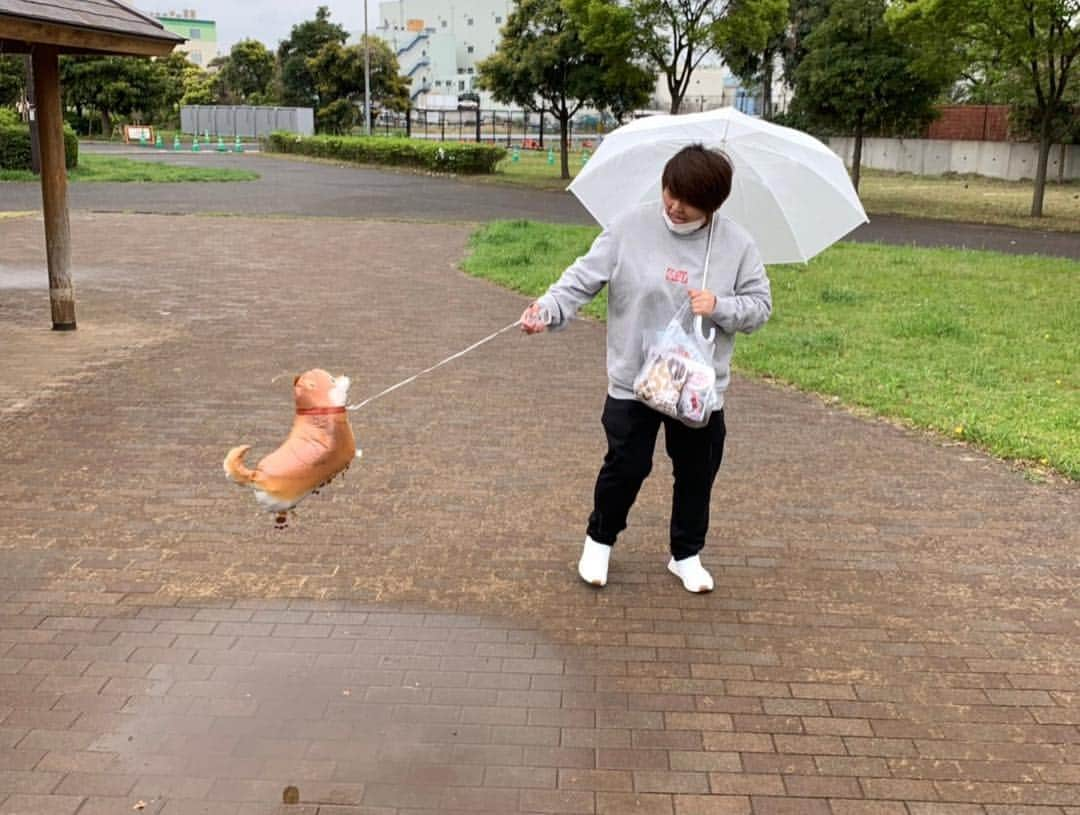 杉本美香さんのインスタグラム写真 - (杉本美香Instagram)「・ ドッグラン集合🐕 ・ 大山加奈ちゃんとダイズ君♡ ホッシーさんと小豆ときな粉♡ サブちゃんママとサブちゃん♡ 杉本とダンディー君♡ ・ みんな犬飼っててドッグラン集合っていうからさぁー！ ・ 関西人考えたよね🤔 よし！ 私も犬を連れて行こう🐕 ・ 結果、ほとんどの時間宙に浮いてる犬を凧のように散歩してドッグランで遊んできました🐕笑 ・ 片手に風船🎈 片手にドーナツ🍩 ヤバイね😅 ・ みんな笑ってくれたから大成功🤩👍 人が笑ってくれてる顔が好き🥰 その為には時間とお金は惜しまない😝 ・ ってことで、楽しい時間でした♡ ありがとう🤩💫 ・ #ドッグラン #犬大集合 #今日に限って寒い #一匹だけちょっと違う #笑笑 #関西人普通には集合しない #楽しかったありがとう #金曜日の夜は胃痛で久々ヤバかった #ドッグランもいいけどそろそろ #人間ドックに行かないとね #現実は厳しい #いろいろ断捨離 #来るもの拒まず去る者追わず  #笑顔 #smile😊」4月28日 0時59分 - mika__sugimoto