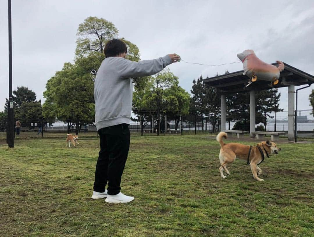 杉本美香さんのインスタグラム写真 - (杉本美香Instagram)「・ ドッグラン集合🐕 ・ 大山加奈ちゃんとダイズ君♡ ホッシーさんと小豆ときな粉♡ サブちゃんママとサブちゃん♡ 杉本とダンディー君♡ ・ みんな犬飼っててドッグラン集合っていうからさぁー！ ・ 関西人考えたよね🤔 よし！ 私も犬を連れて行こう🐕 ・ 結果、ほとんどの時間宙に浮いてる犬を凧のように散歩してドッグランで遊んできました🐕笑 ・ 片手に風船🎈 片手にドーナツ🍩 ヤバイね😅 ・ みんな笑ってくれたから大成功🤩👍 人が笑ってくれてる顔が好き🥰 その為には時間とお金は惜しまない😝 ・ ってことで、楽しい時間でした♡ ありがとう🤩💫 ・ #ドッグラン #犬大集合 #今日に限って寒い #一匹だけちょっと違う #笑笑 #関西人普通には集合しない #楽しかったありがとう #金曜日の夜は胃痛で久々ヤバかった #ドッグランもいいけどそろそろ #人間ドックに行かないとね #現実は厳しい #いろいろ断捨離 #来るもの拒まず去る者追わず  #笑顔 #smile😊」4月28日 0時59分 - mika__sugimoto