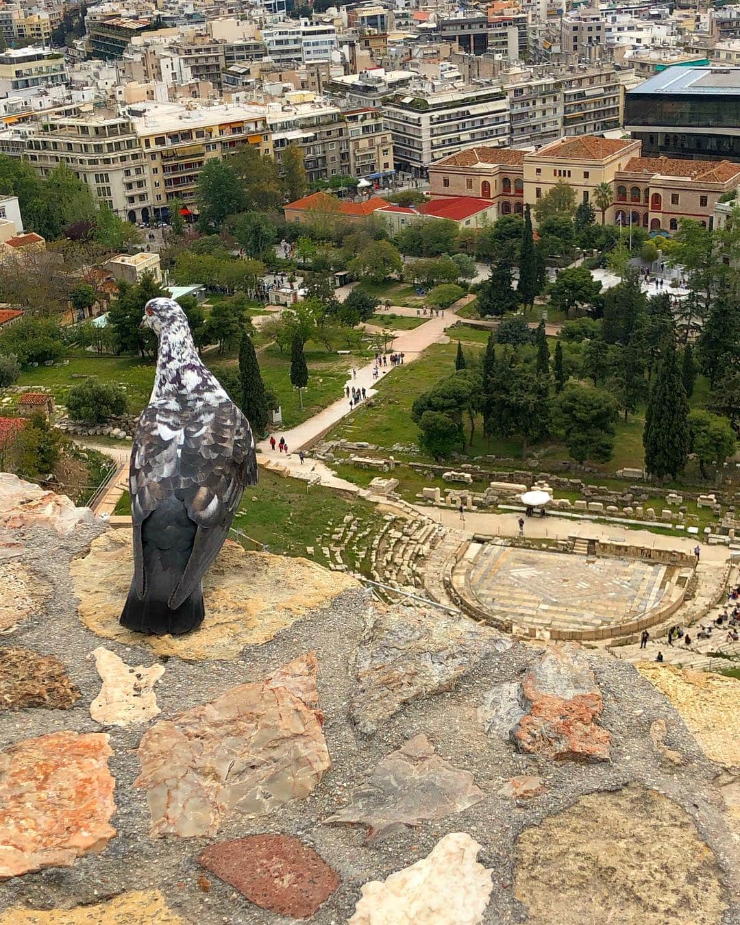 メッチェン・アミックさんのインスタグラム写真 - (メッチェン・アミックInstagram)「Plotting his world domination ...or... writing his next play? 🧐 #TheatreOfDionysus #GodOfPlaysAndWine #Athens #Acropolis」4月27日 16時10分 - madchenamick
