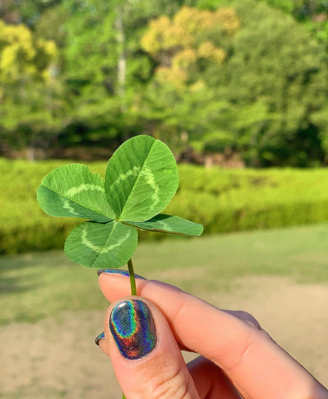 カタリーナ・ジョンソン・トンプソンさんのインスタグラム写真 - (カタリーナ・ジョンソン・トンプソンInstagram)「First day in Japan for training camp 🇯🇵 I was stretching after an easy jog in the park and a complete stranger came up to me and handed me this 😭💚 Absolutely made my week, shows you what a kind gesture can do for someone! 🍀」4月27日 18時11分 - johnsonthompson