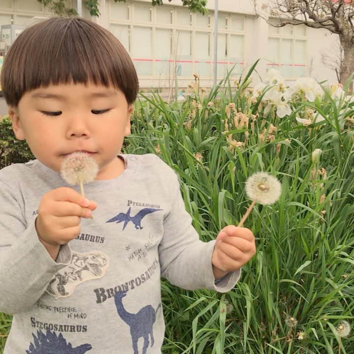 阿部裕幸のグルメインスタ