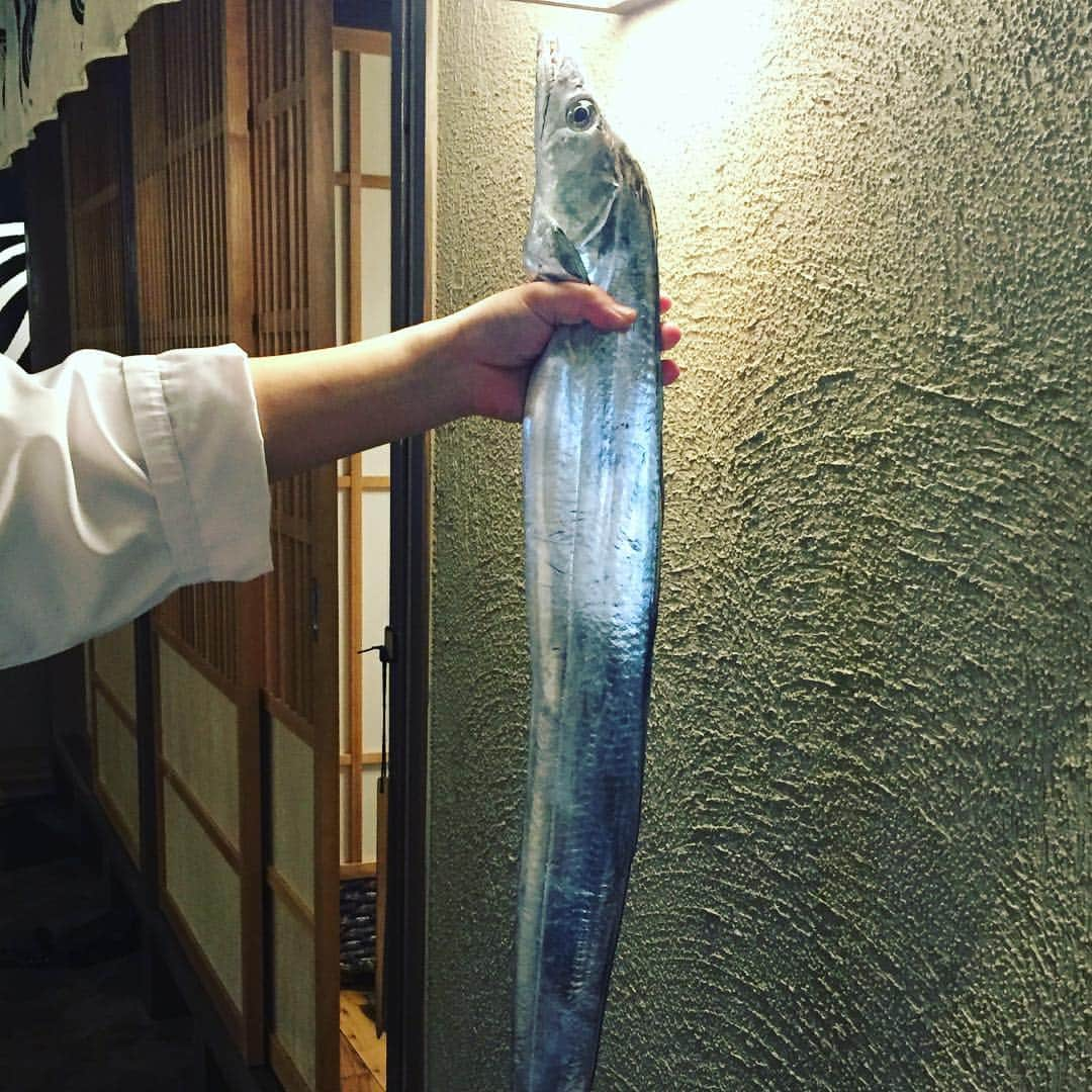 泳ぎイカ銘魚料理　磯銀のインスタグラム：「太刀魚💎 #磯銀#淀屋橋#肥後橋#鮮魚#日本酒#ランチ#大人の隠れ家」