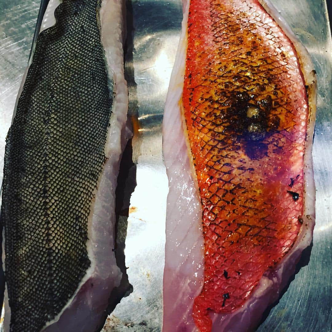 泳ぎイカ銘魚料理　磯銀のインスタグラム：「焼き霜降り✨其の壱 #磯銀#淀屋橋#肥後橋#鮮魚#日本酒#ランチ#大人の隠れ家」