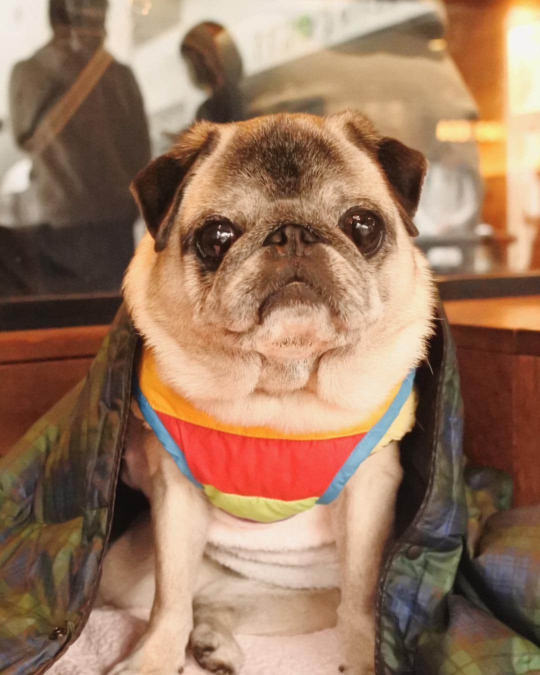 八兵衛のグルメインスタ