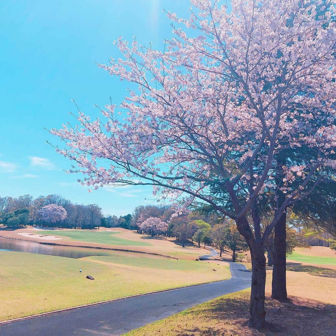 松中みなみさんのインスタグラム写真 - (松中みなみInstagram)「いよいよGW突入‼️🍀 みんなのご予定は？？😊🚙 ・ ・ 先日、大好きな奈苗ちゃんと一緒に のんびりゴルフ出来た〜🏌️‍♀️💓 ・ まだまだ下手な私に 前向きになれる優しい言葉をたくさんかけてくれて 本当にありがとう〜🙏💓💓 ・ ただ今発展途上ですが、 急成長するで〜👍⤴︎⤴︎⤴︎🔥 ・ ・ ・ #ゴルフ #ゴルフ女子 #golf #ゴルフコーデ #ゴルフウェア #サマンサタバサゴルフ @samantha_golf  #ゴルフレッスン も#samanthagolf #samantha  #イーグルポイント #茨城  #ゴールデンウィーク #gw #たくさん体動かしたい 🏃‍♀️✨」4月27日 19時30分 - minami_matsunaka