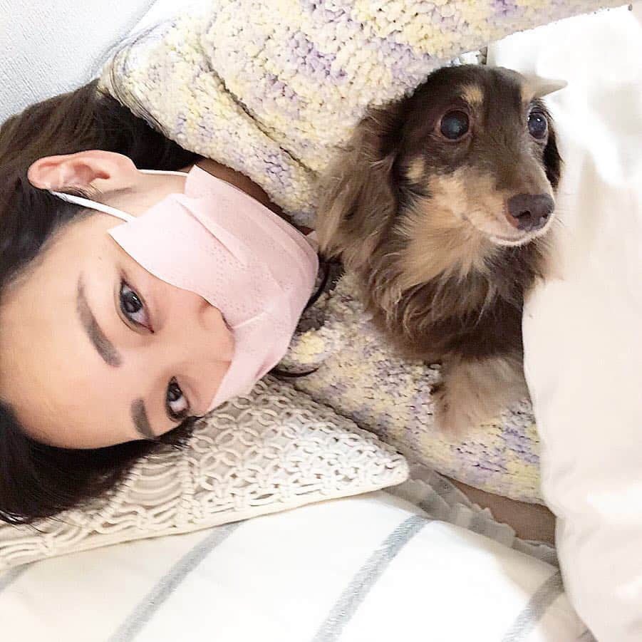 石田美奈子さんのインスタグラム写真 - (石田美奈子Instagram)「最近の#睡眠 スタイル☺︎ 寝る時はいつも#愛犬 ココと一緒🐶💕 . 喉と口周りの乾燥を防ぐために、#ドライマウスガード という#マスク 着用しています😷✨ このマスクは鼻を出して着用するタイプなので、自然に呼吸できて睡眠中苦しく感じづらい🌬 私はマスクをして寝るとほぼ確実に途中で外してしまっていたのですが、このマスクなら朝までちゃんと着けたまま寝ていられます(⑅ˊᵕˋ⑅)⁎⁺˳✧༚ . 生地が柔らかくて着け心地が良いし、高保湿生地で作られているのでお肌の乾燥対策にも◎ 使い始めてから肌もしっとりしている気が…♡ #乾燥対策 にオススメ😊✨ . @sleepexpo . #アラサー美容 🐶 → #minako_coco #beauty #beautycare #goodsleep #sleepexpo #ドライマウスガードプレミアム #エスパック #快適快眠づくりフェア #肌ケア #喉ケア #ライフスタイル #睡眠改善」4月27日 19時39分 - mminakooo