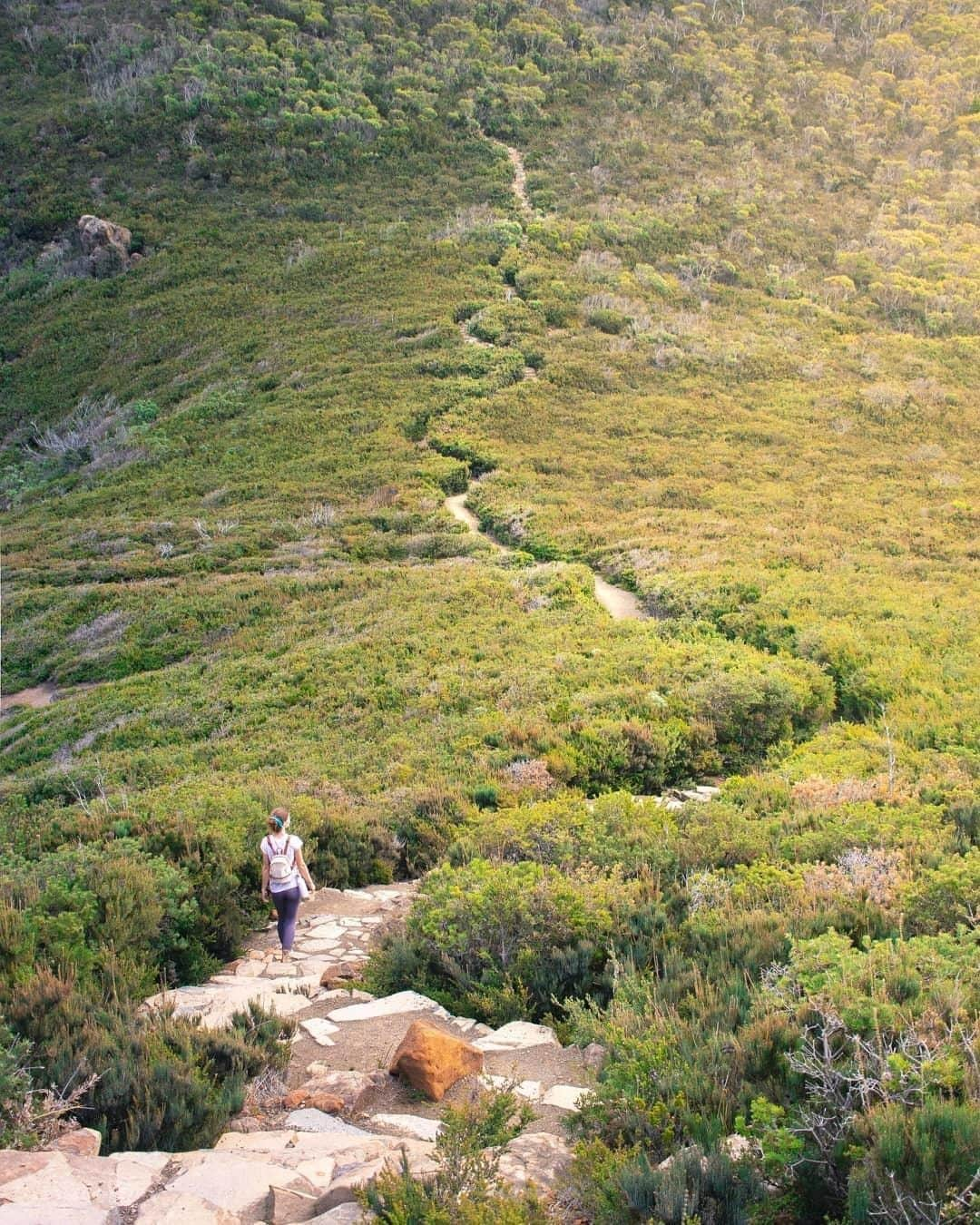 Australiaさんのインスタグラム写真 - (AustraliaInstagram)「Take the road less travelled to discover some of @tasmania’s most spectacular views. 👣⛰️ @chloektodd joked that “this was the day I learnt that one curried scallop pie is not enough to fuel you for a 10-kilometre walk full of hills like this” as she tackled the #CapeHauy #hike. If you want to make sure your belly is properly fueled for a #hiking adventure like this, the guided ‘Three Capes Lodge walk’ by @greatwalksofoz’s @taswalkingco can certainly take care of that. This particular track is a side trip on the final day of the guided walk, and you’ll be treated to canapes and bubbles before you get transported back to @hobartandbeyond, which happens to be exactly how we like to end a spot of hiking. 😉  #seeaustralia #discovertasmania #hobartandbeyond #greatwalksofaustralia #hiking #travel」4月27日 20時00分 - australia