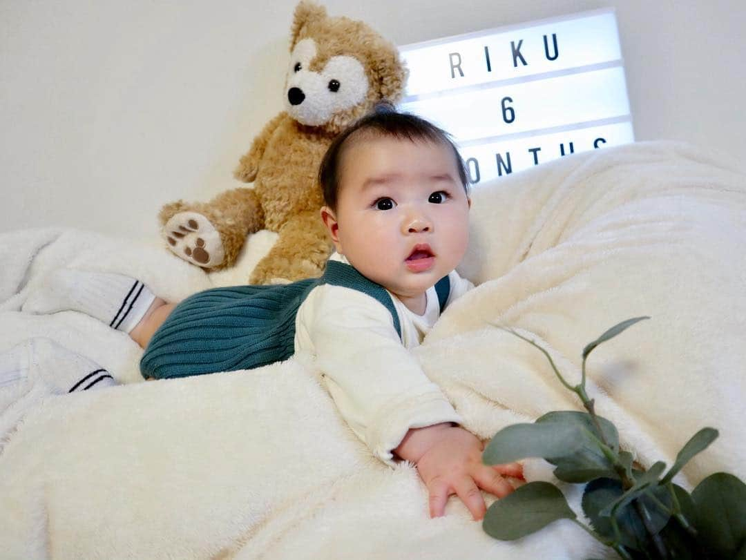 河内麻沙美さんのインスタグラム写真 - (河内麻沙美Instagram)「#6months 🎉 . . 4/19で6ヶ月👶🏻 #生後6ヶ月 #マンスリーフォト ． 【成長記録】 うつぶせが好き🥰 うつぶせで頭を高く上げられる☝️ 離乳食はじめました🍚 ズリバイができるようになってきた👏🏻 まだおすわりは苦手💦 足をピーンとして立ちたがる🤣 少し後追いが始まった？！ ． #ハーフバースデー#10月生まれ#成長記録#RIKU#赤ちゃん#ベビー#男の子#親バカ部#ママリ#コドモノ#ベビフル#ベビリトル#コドモダカラ#コノビー#イットママ#0歳#赤ちゃんのいる生活#ダッフィー#baby#instababy#ig_baby#mamanokoカメラ部#mamagirl #comona#halfbirthday」4月27日 20時15分 - masamikouchi