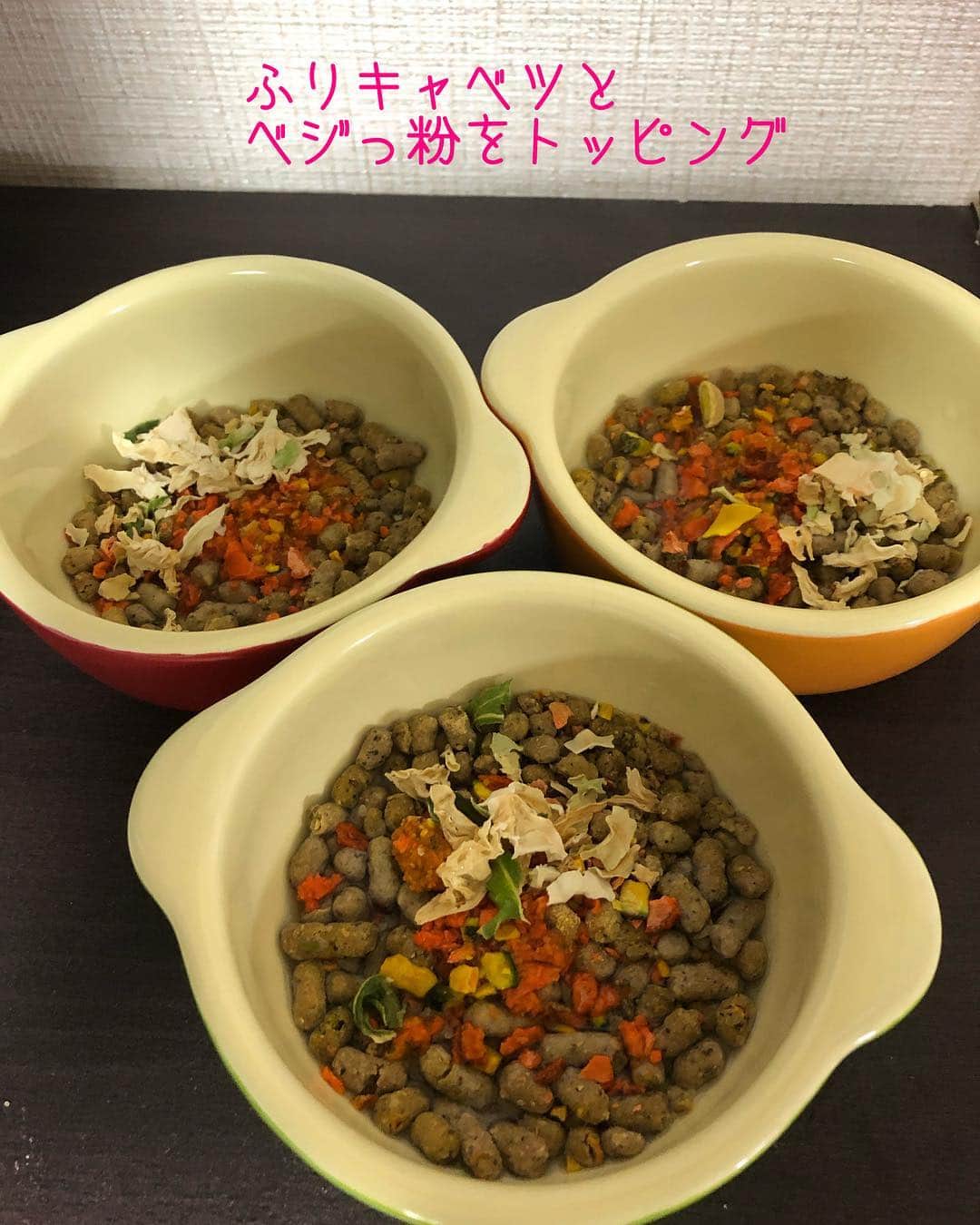 Club Soda♡さんのインスタグラム写真 - (Club Soda♡Instagram)「出来たてホヤホヤの @one.wan.delica さんの 無添加フード届きました🙋 新商品のベジっ粉、 とっても美味しいようで 食いつきすごかった😂 もっと味わって欲しいのに笑 @one.wan.delica #無添加フード #新商品のベジっ粉はGW明けに発売です #ふりキャベツとベジっ粉をトッピング #ソーちゃん#ガサツgirl #ミニチュアダックスフンド #ミニチュアダックス #ダックスフンド#ダックス #毎月楽しみに待ってるフード #美味しいご飯をありがとう😊 #喜んで食べてる姿って嬉しくなるー #食べたあとお互いのお皿をチェックするのがお約束 #特にしつこいのがソーちゃん笑 #食べてる時にこちょこちょしたけど無視されたあたし😂」4月27日 20時37分 - kumi.s66