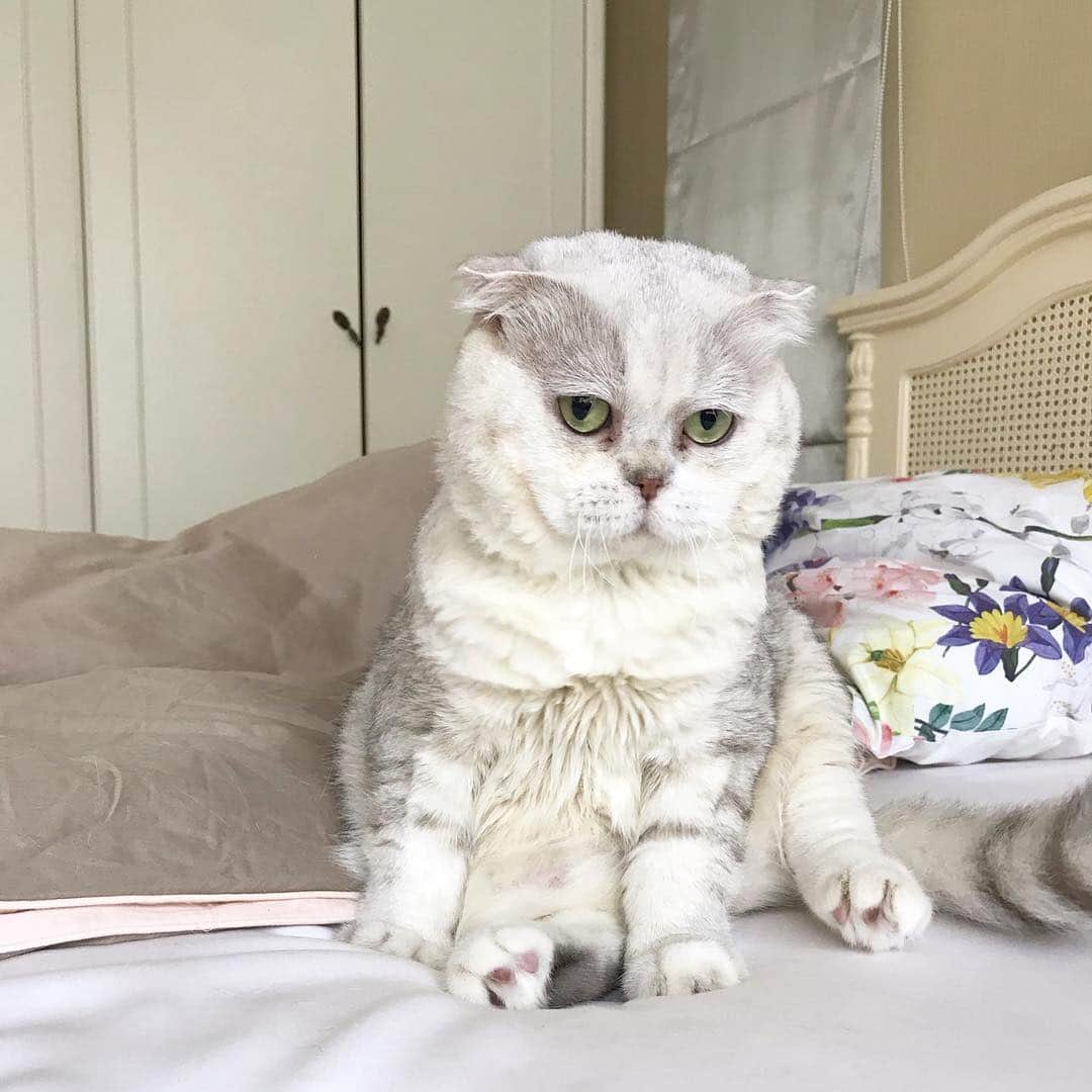 Haruのインスタグラム：「Can you remember me? #จำเค้าได้รึป่าว #เค้ารุเอง」