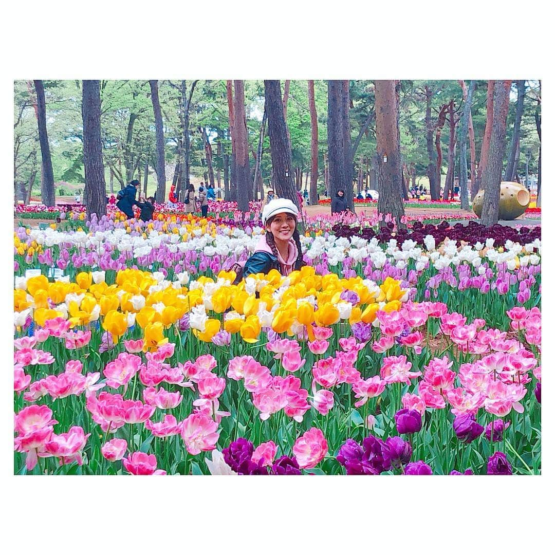 色紙千尋さんのインスタグラム写真 - (色紙千尋Instagram)「🌷🌷🌷#ひたち海浜公園 #国営ひたち海浜公園 #チューリップ #ネモフィラ #菜の花 #花畑」4月27日 20時48分 - shikishi_chihiro