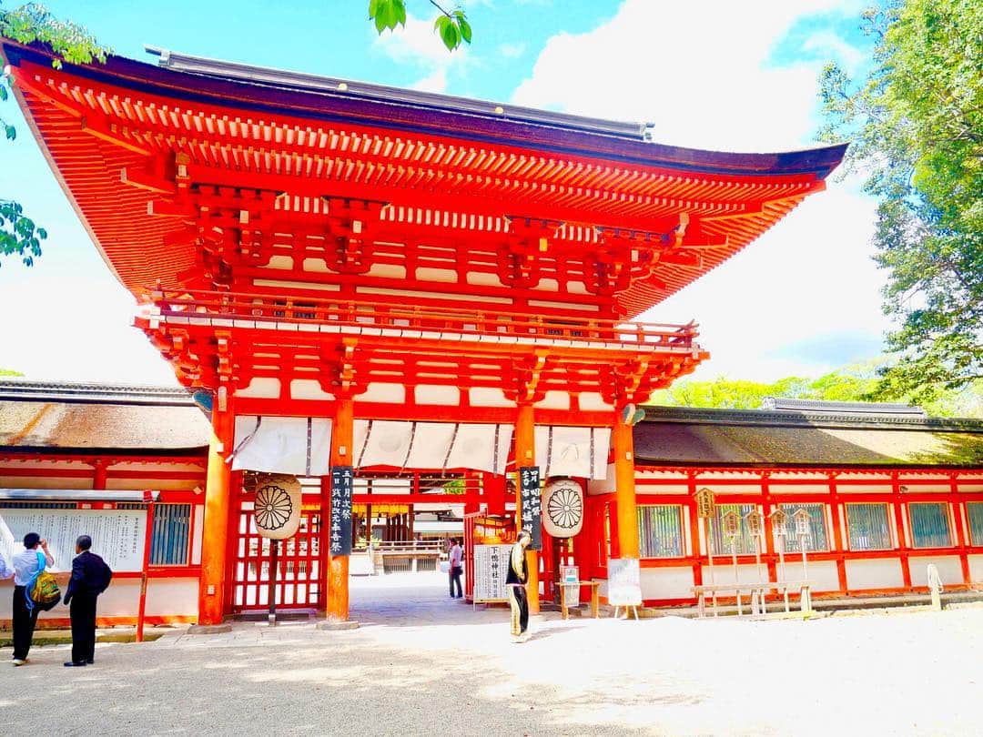 トミーさんのインスタグラム写真 - (トミーInstagram)「下鴨神社にもちょっとだけ寄りました。幸せでした。  #京都」4月27日 20時53分 - tommymizutamaribond