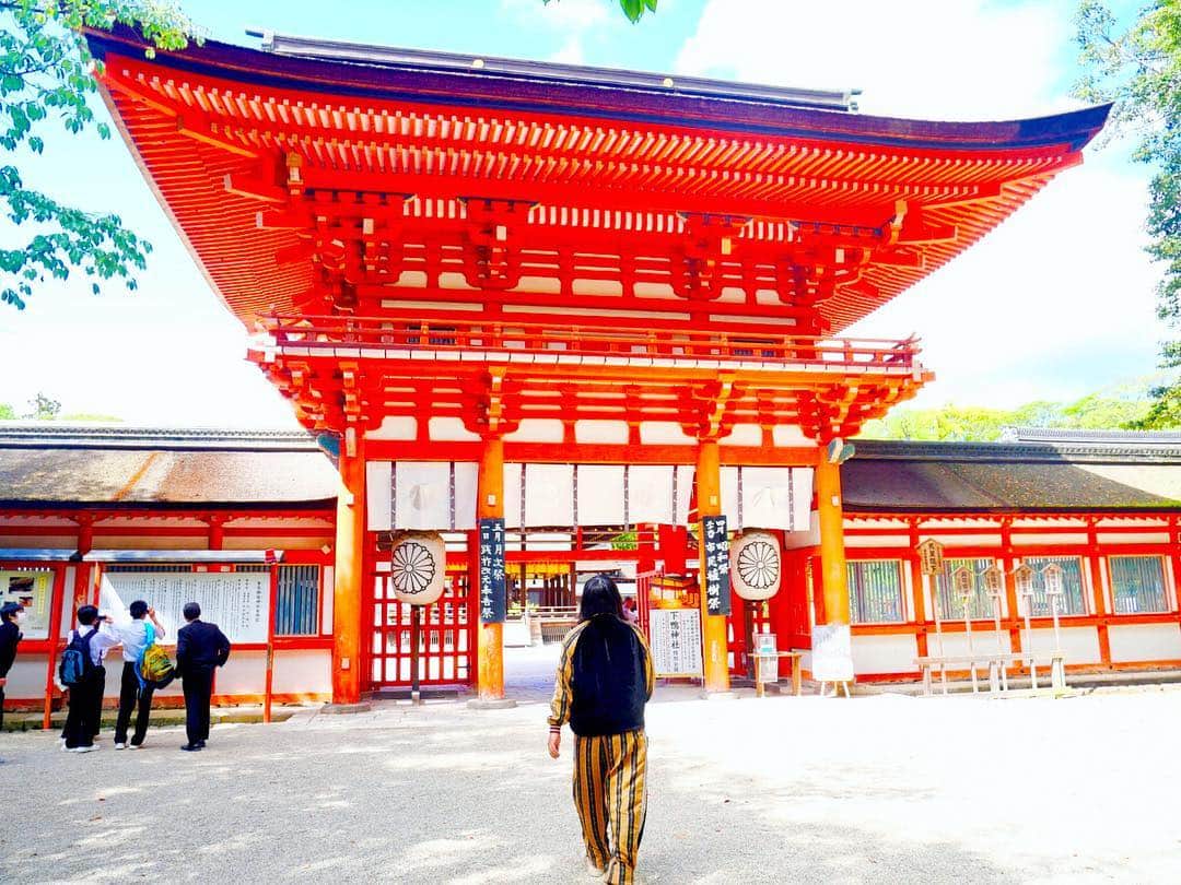 トミーさんのインスタグラム写真 - (トミーInstagram)「下鴨神社にもちょっとだけ寄りました。幸せでした。  #京都」4月27日 20時53分 - tommymizutamaribond