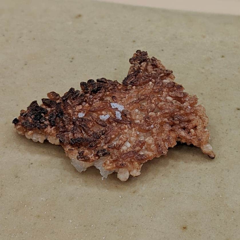 Masayasu Moritaのグルメインスタ