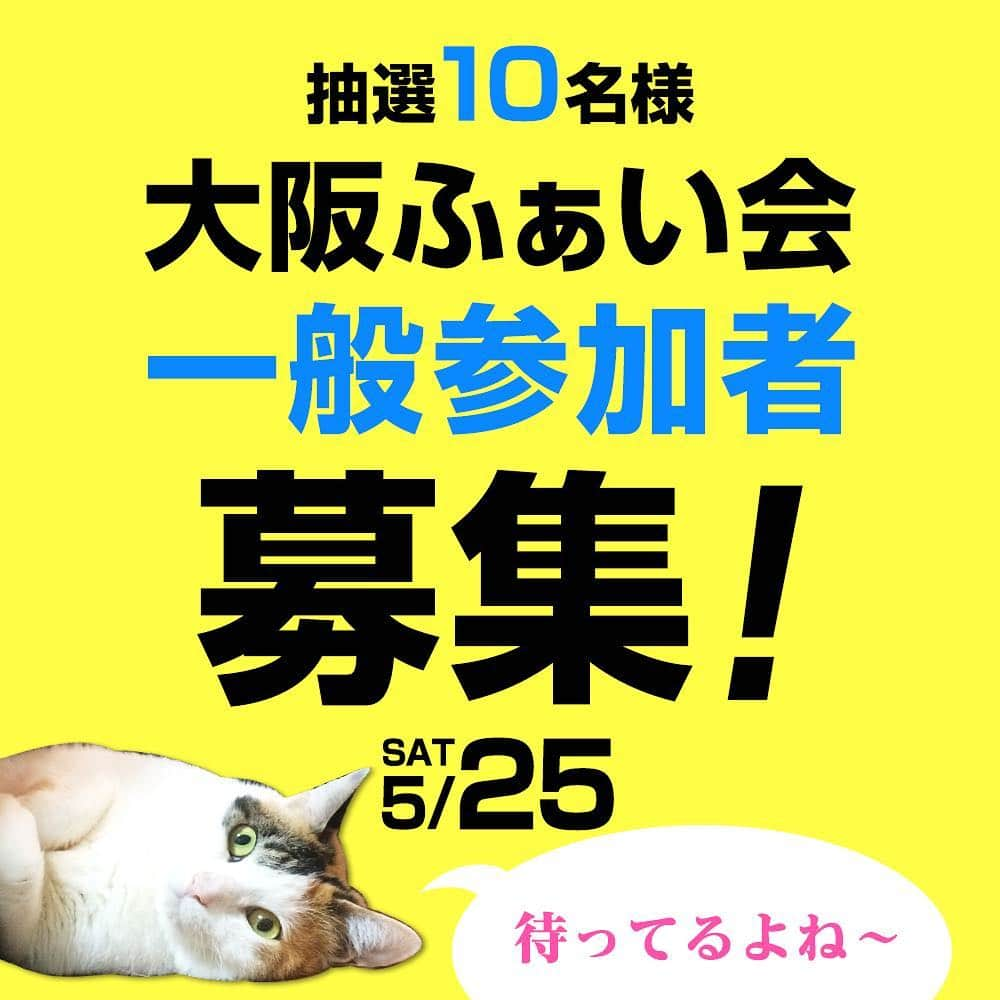 かりんちゃん&ちゃいちゃんさんのインスタグラム写真 - (かりんちゃん&ちゃいちゃんInstagram)「〈♪〉カプセルホテル2 #カプセルホテル尻ーず ・ 【お知らせ】 大阪ふぁい会一般参加者募集！ （抽選10名様） 日時 : 5月25日（土）11:00〜 締め切り : 4月30日23:59まで 詳しい内容、お申し込みはウェブサイトです( ´ ▽ ` )ﾉ ・ #猫 #ねこ #ネコ #もふもふ #ねこ部 #にゃんこ #猫部 #ふわもこ部 #🐱 #にゃんすたぐらむ #ぬこ #にゃんだふるらいふ #みんねこ #ペコねこ部 #かわいい #楽しい #catsofinstagram #cats #catstagram #neko #catsagram  #picneko #instagramjapan #instagram #comedy #茶トラ白」4月27日 21時02分 - moshinuko