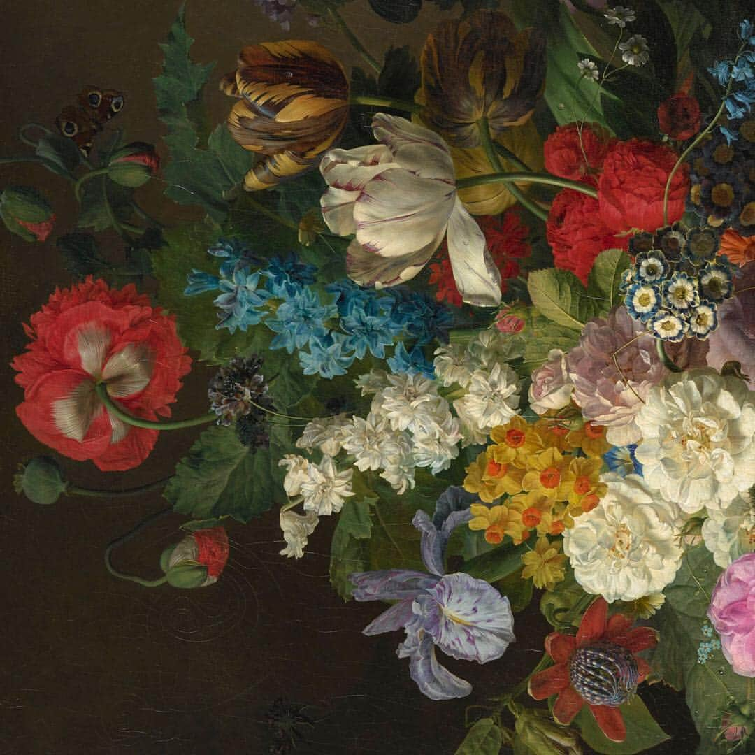 ルーブル美術館さんのインスタグラム写真 - (ルーブル美術館Instagram)「. ➡️ Composition originale par @mr.bacchus - 🇫🇷 Ce tableau présente une grande variété de fleurs, de couleurs et de textures qui témoigne du talent de Van Dael. D’origine flamande, cet artiste fait pourtant carrière en France. Ses œuvres remarquables lui assurent une reconnaissance tant du public que des institutions. 🦋 - 🌎 This painting shows a great variety of flowers, colors and appearance that demonstrates Van Dael’s skillfulness. This Flemish artist had a successful career in France thanks to his remarkable still lifes of flowers and fruits. 🦋 - 📌 Jean-François Van Dael, Vase de fleurs, raisins et pêches, 1810, (détail). - 📷 © RMN - Grand Palais (Musée du Louvre)  Adrien Didierjean . . . #louvre #louvremuseum #museedulouvre #mrbacchus」4月27日 21時06分 - museelouvre