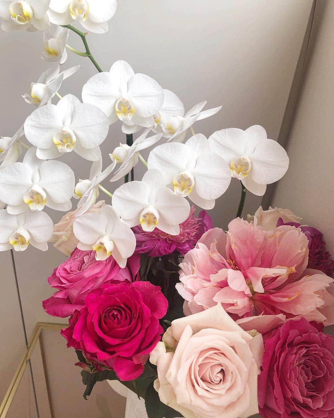 Natsuさんのインスタグラム写真 - (NatsuInstagram)「Rose, Orchid, Peony😊🌸 💕」4月27日 21時22分 - _natsurose_
