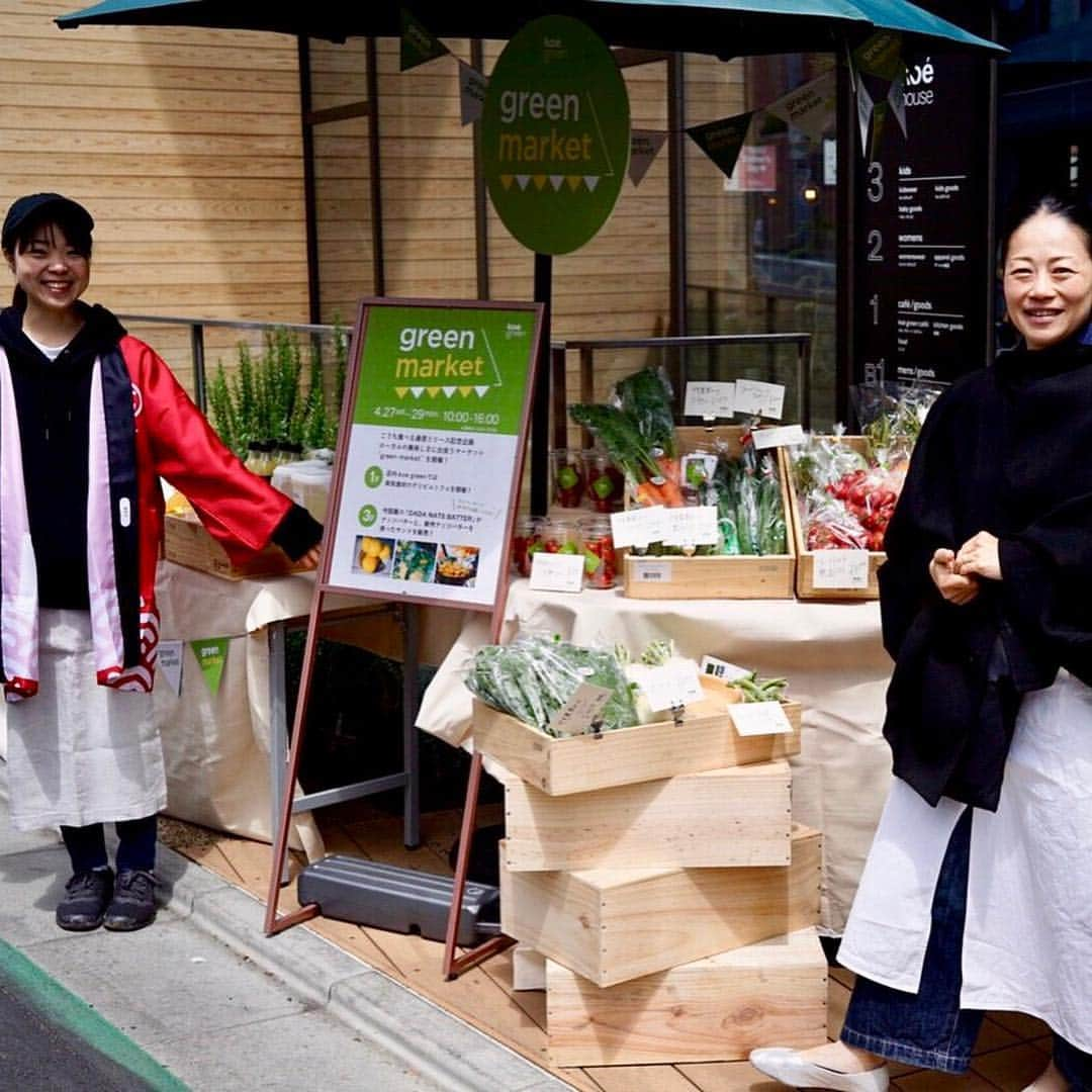 コエのインスタグラム