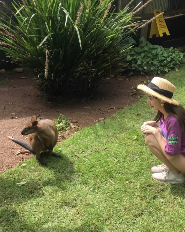 平木愛美のインスタグラム