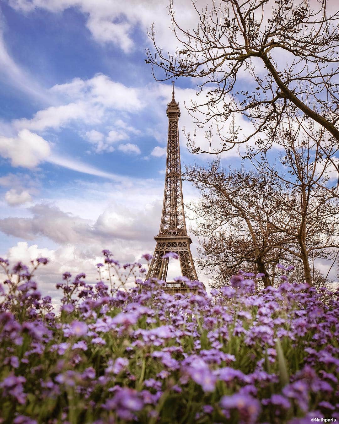 nathparisのインスタグラム：「Paris, mon amour 🌸 #paris」