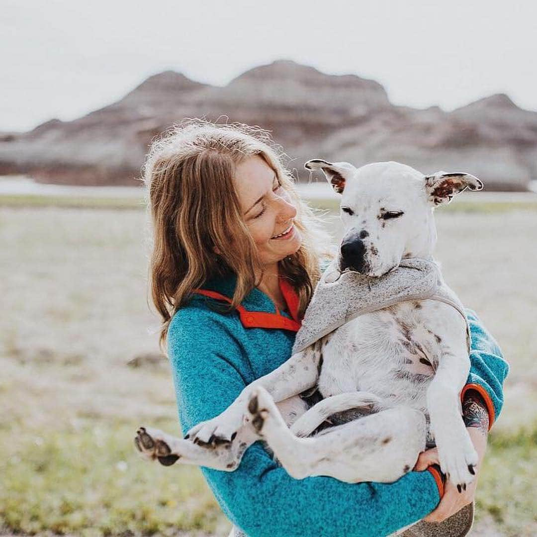 L.L.Beanさんのインスタグラム写真 - (L.L.BeanInstagram)「We aren’t the only ones who benefit from our national parks — our four-legged friends can find endless (on-leash) adventures in these special places too. 🐶 #FindYourPark #encuentratuparque #NationalParkWeek #BarkRanger #grandcanyon #badlandsnationalpark #yosemitenationalpark #acadianationalpark」4月27日 22時35分 - llbean