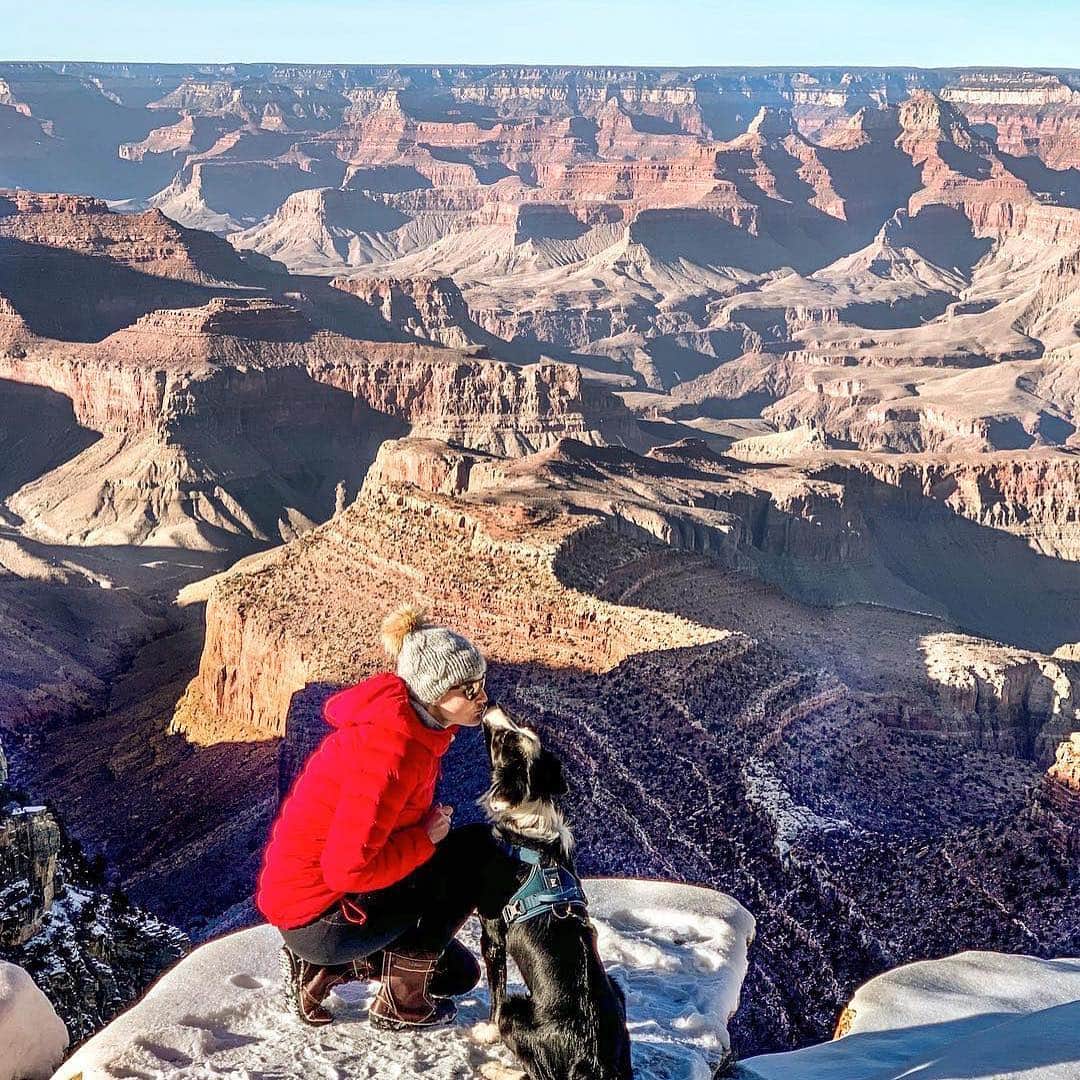 L.L.Beanさんのインスタグラム写真 - (L.L.BeanInstagram)「We aren’t the only ones who benefit from our national parks — our four-legged friends can find endless (on-leash) adventures in these special places too. 🐶 #FindYourPark #encuentratuparque #NationalParkWeek #BarkRanger #grandcanyon #badlandsnationalpark #yosemitenationalpark #acadianationalpark」4月27日 22時35分 - llbean