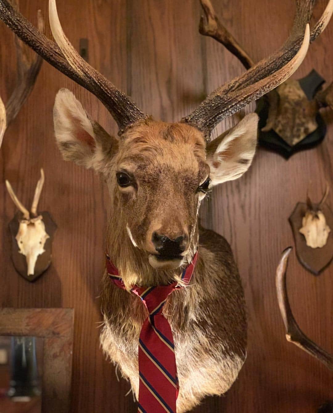 フリーマンズスポーティングクラブのグルメインスタ