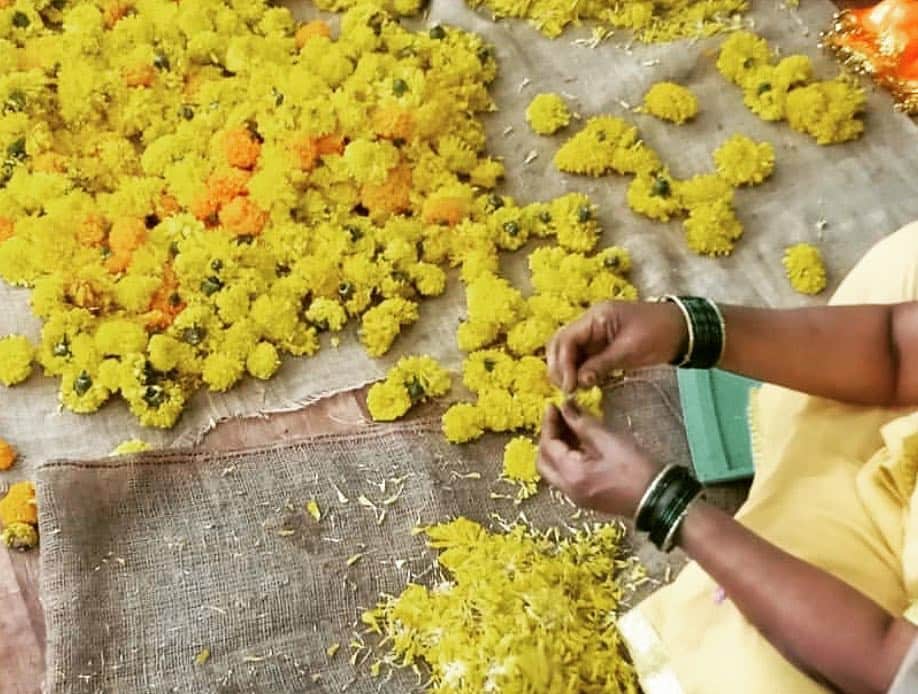 のインスタグラム：「Some 🌞 for your day: Adiv Maushi women separating temple offering flowers (that would otherwise we washed into the waterways) to create our organic #artisanal hand dyed #SS19 silk and cotton pieces #Marigolds #art #madebywomen 🌼🌼🌼🌼🌼🌼🌼🌼🌼🌼🌼🌼🌼🌼🌼🌼🌼🌼🌼🌼🌼🌼🌼🌼🌼」