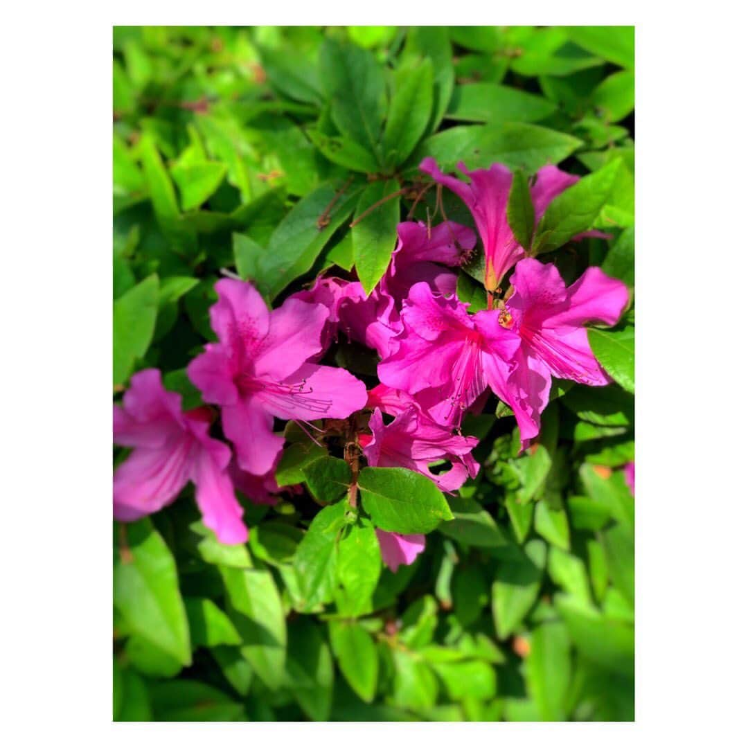 四宮吏桜のインスタグラム