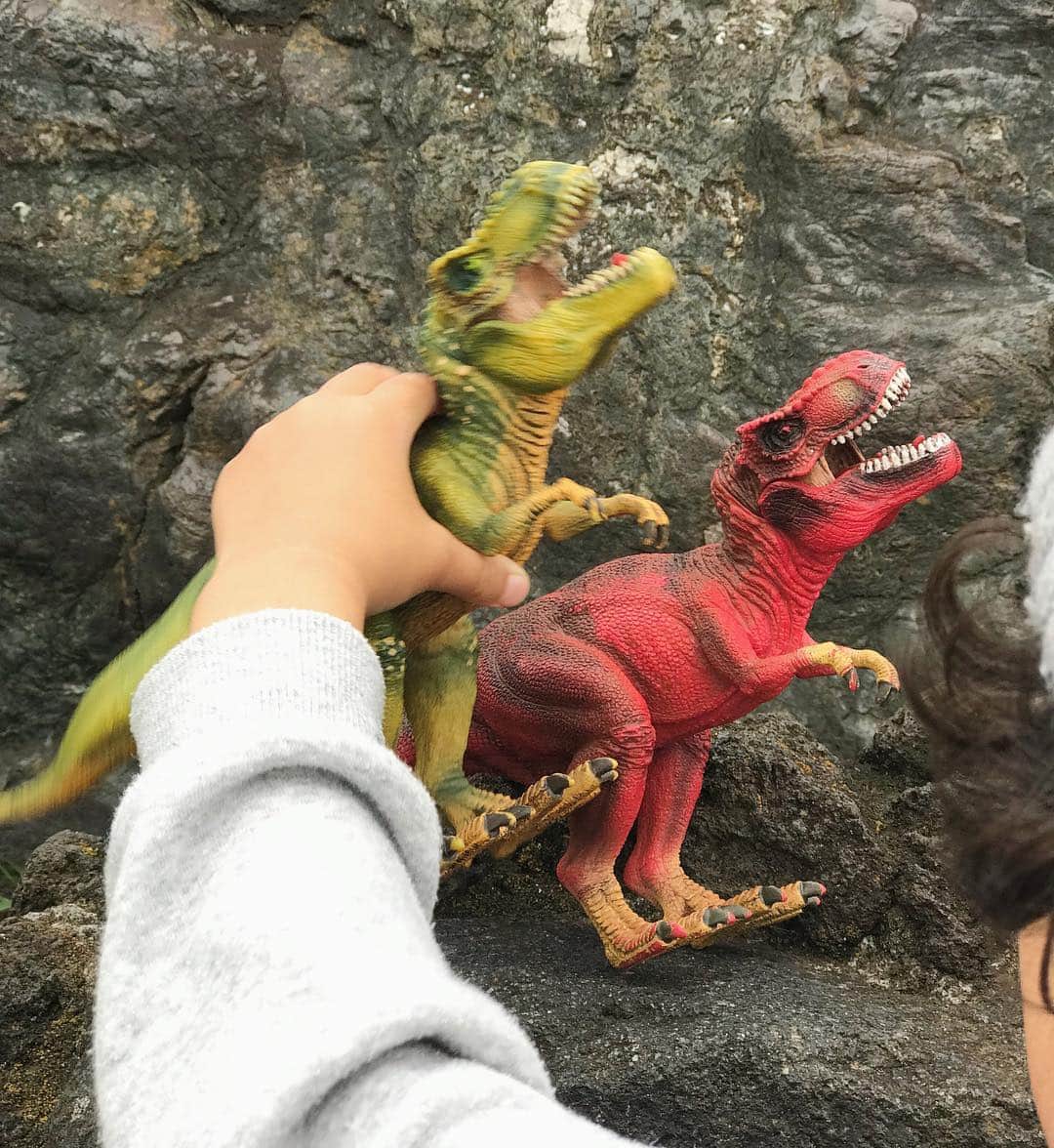 AMOさんのインスタグラム写真 - (AMOInstagram)「DINO SAFARI 🦖 子どもも大人も大興奮⚠️⚠️⚠️ 迫力満点すぎて お友だちは号泣、息子は硬直😂 (逆に娘のほうが嬉しそうにはしゃいでた。) でも観終わってからは たのしかったねー！👦🏻👦🏻って。 その後は公園でひたすら それぞれ持ってきた恐竜片手に、 恐竜の世界に浸って遊んでいました。🌋🌴🥚 GW初日から 良い思い出つくれたねー！ #ディノサファリ」4月27日 23時39分 - amo_whale