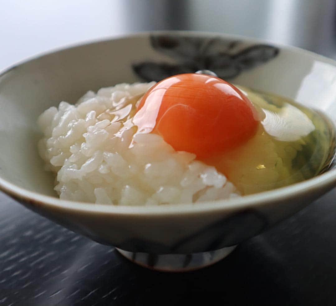 二ノ宮知子さんのインスタグラム写真 - (二ノ宮知子Instagram)「最近近所のスーパーで売るようになった「生が美味しい！」という卵を買ったら生が美味すぎて、焼くやつと別でこれを買うようになった。高いんだけどほんと美味しい🥚✨」4月28日 10時29分 - tomokoninomiyaa