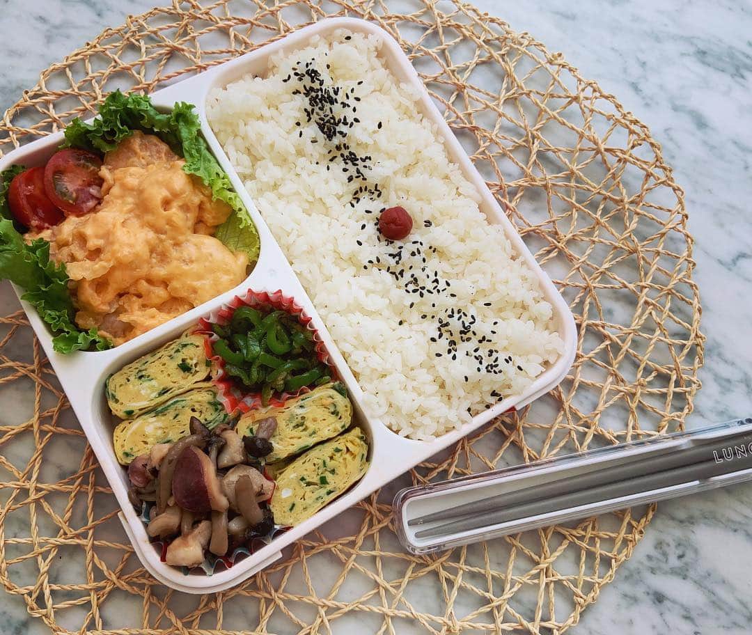 本田しおりのインスタグラム：「#今日のお弁当  #海老マヨ#ニラ入りだし巻き卵#無限ピーマン#タコとしめじのバター醤油炒め  #お弁当 #本田弁当 #旦那さん弁当」